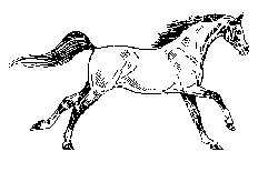 G210051.gif